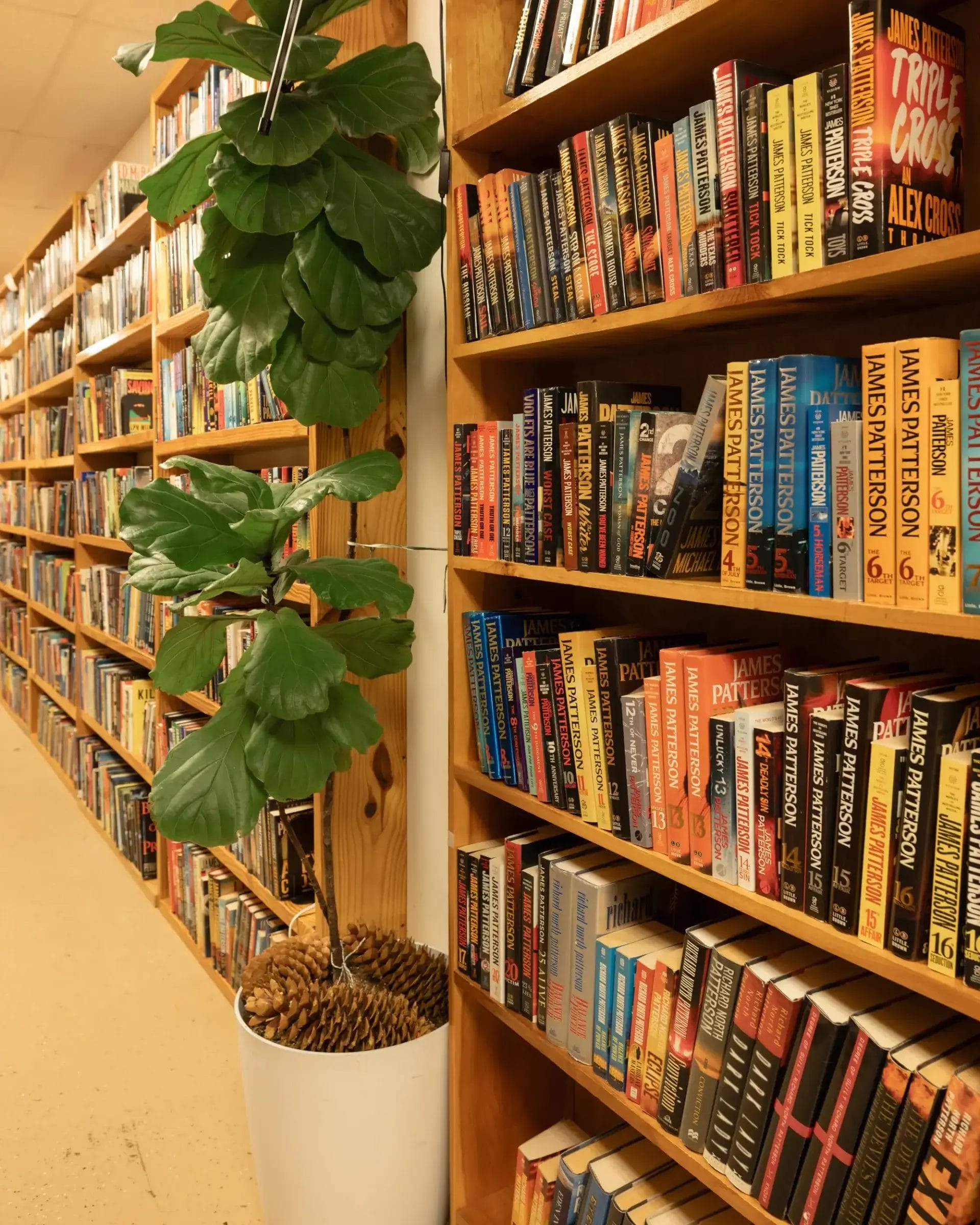 Bookshelves with used books from Charlotte line the wall, next to a leafy potted plant on a tan floor under fluorescent lights.