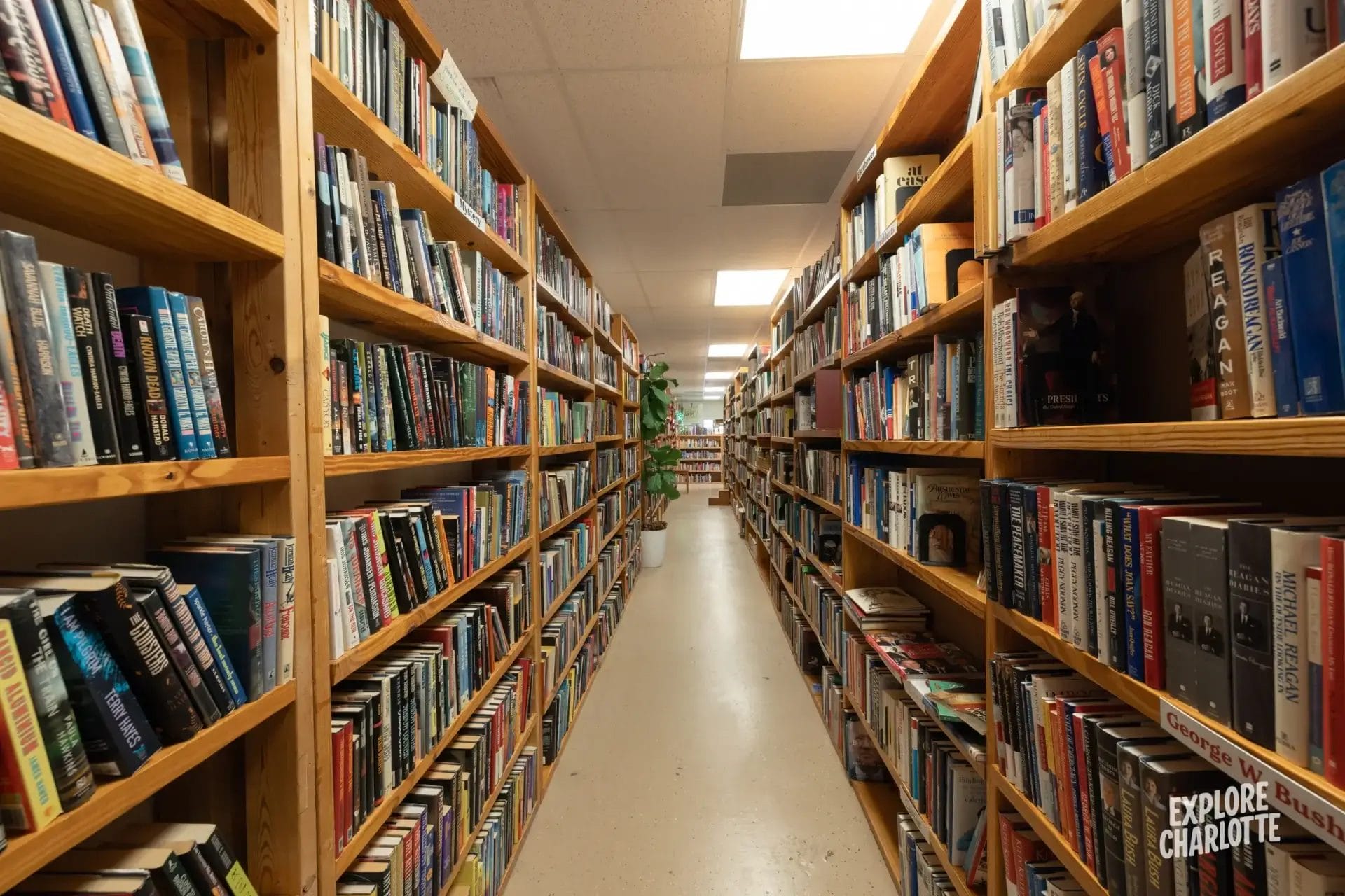 A cozy aisle between tall bookshelves in a bright Charlotte library, with more shelves, a green plant, and light flooring ahead.